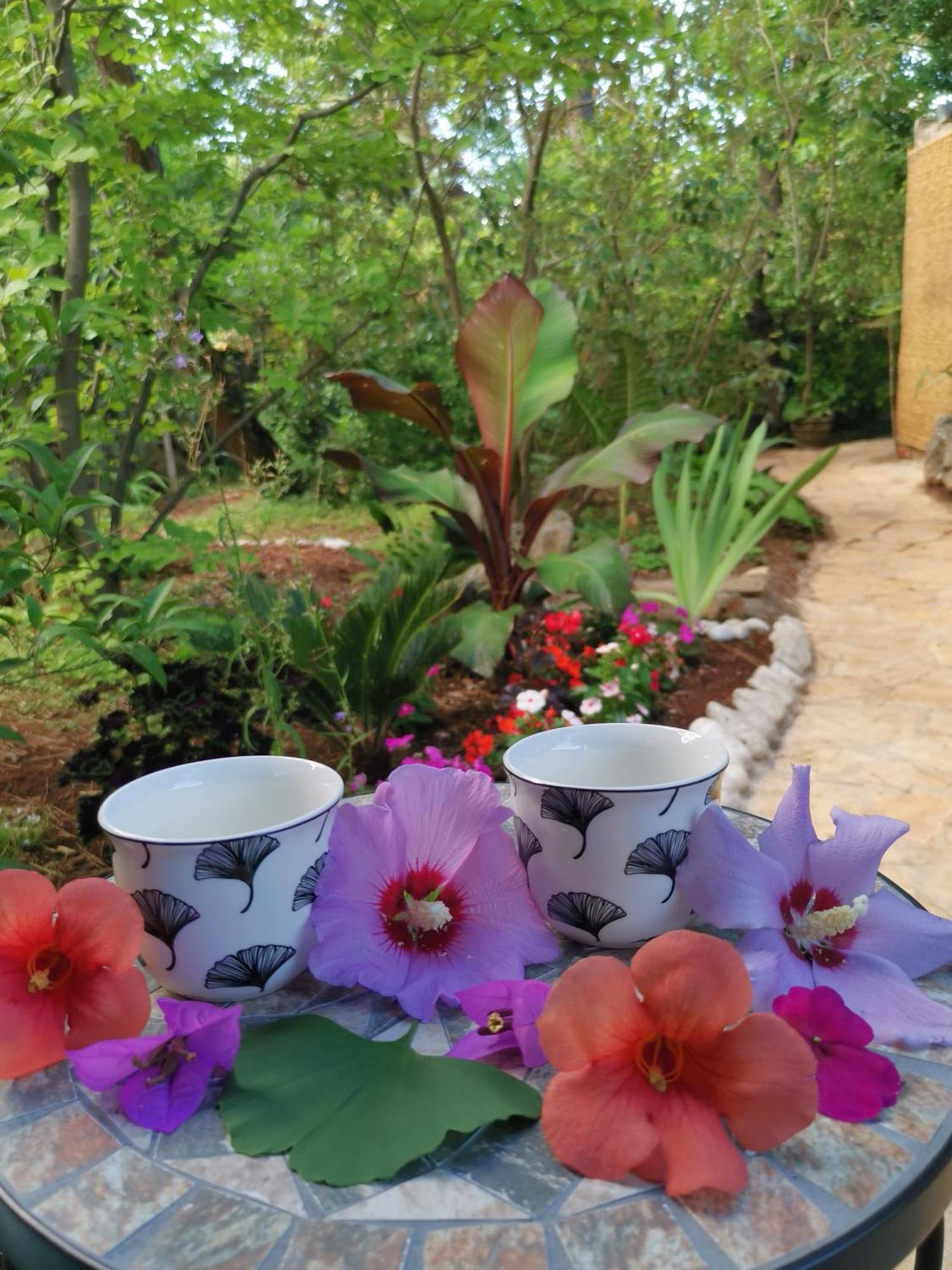 Ginko House Apartment โอปาติยา ภายนอก รูปภาพ